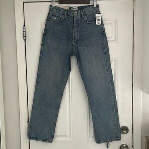Agolde 90s Pinch Waist High Rise Straight jeans
